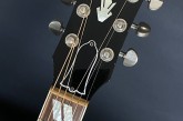 Gibson 2010 Hummingbird Ice Tea-6.jpg